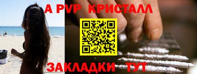 a pvp Кингисепп